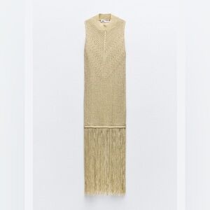 Zara Metallic Fringe Long Knit Top